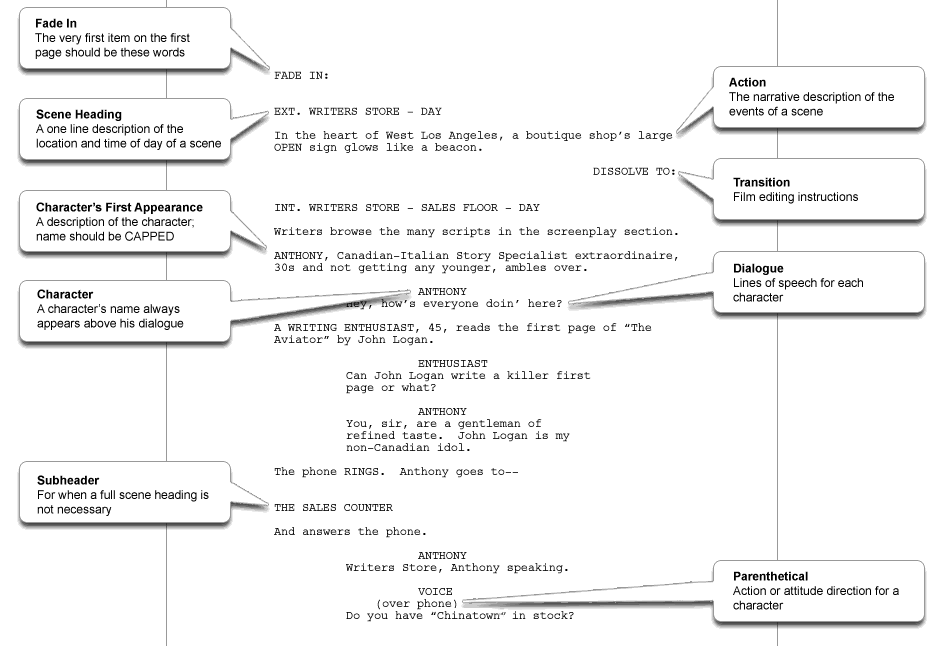 script format